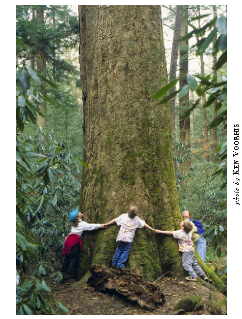 kids treehug - photo by Ken Voorhis